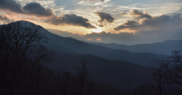 Petition Urges NPS to Halt Tree Removal on Blue Ridge - Common Good News The Park Service is removing trees downed by Helene. Conservationists are asking them to stop.