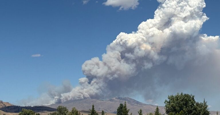 Hawk Fire near Somersett in Northwest Reno