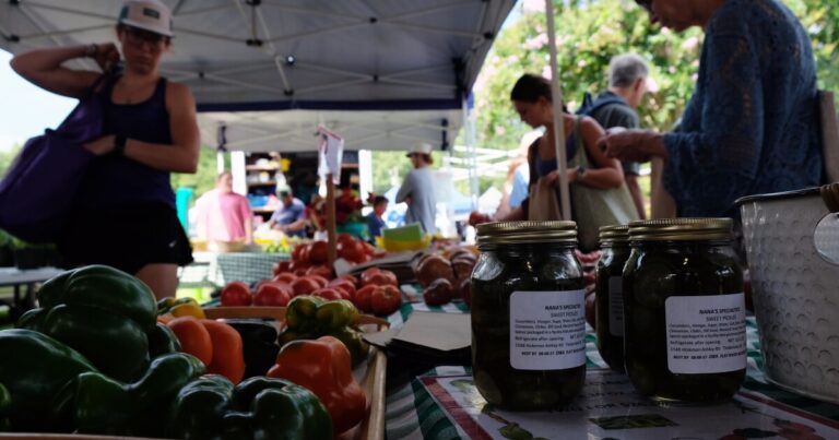 A stand at the Carrboro Farmers Market on Aug. 15, 2026.