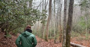 The Trump administration is moving forward with its plans to remove roadless forest protections. This includes WNC