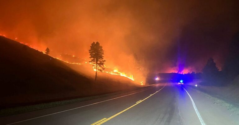 Nebraska’s state forester reflects on historic wildfires ahead of retirement