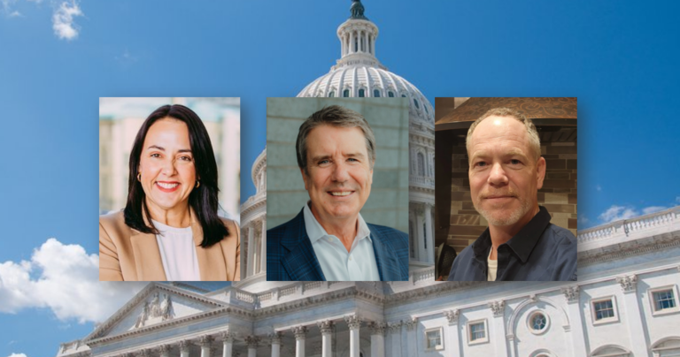 2nd Congressional District voter guide: Democrats look to regain control of 'blue dot'