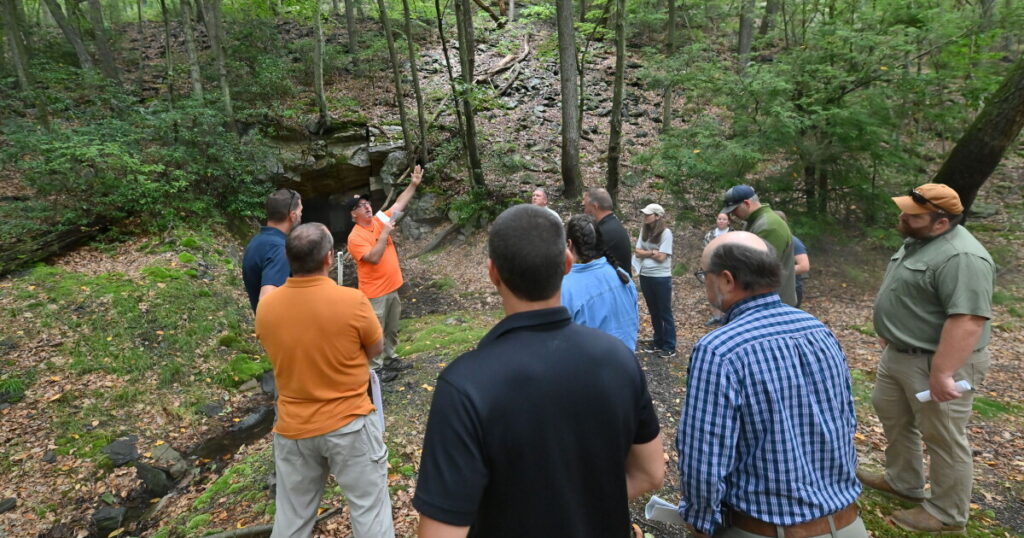 Luzerne County mines create critical habitat while still polluting streams; restoration underway