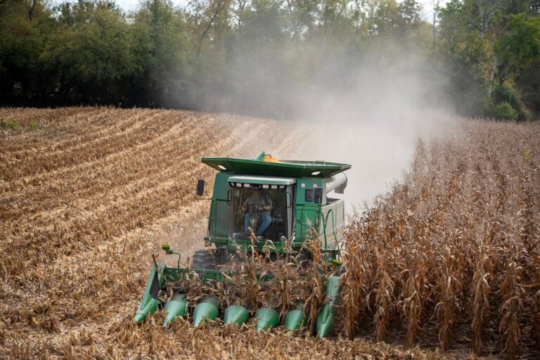‘This may just be the end’: Wisconsin farmers struggle to afford diesel during harvest season