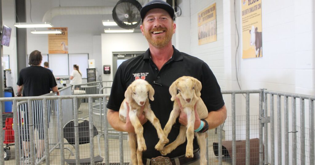 Here's how Nebraska State Fair vets keep more than 10,000 livestock entries safe