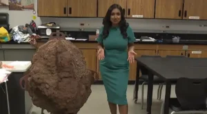 High School Science Teacher Finds Something Scientists Had Never Seen Before: A T. Rex Trackway