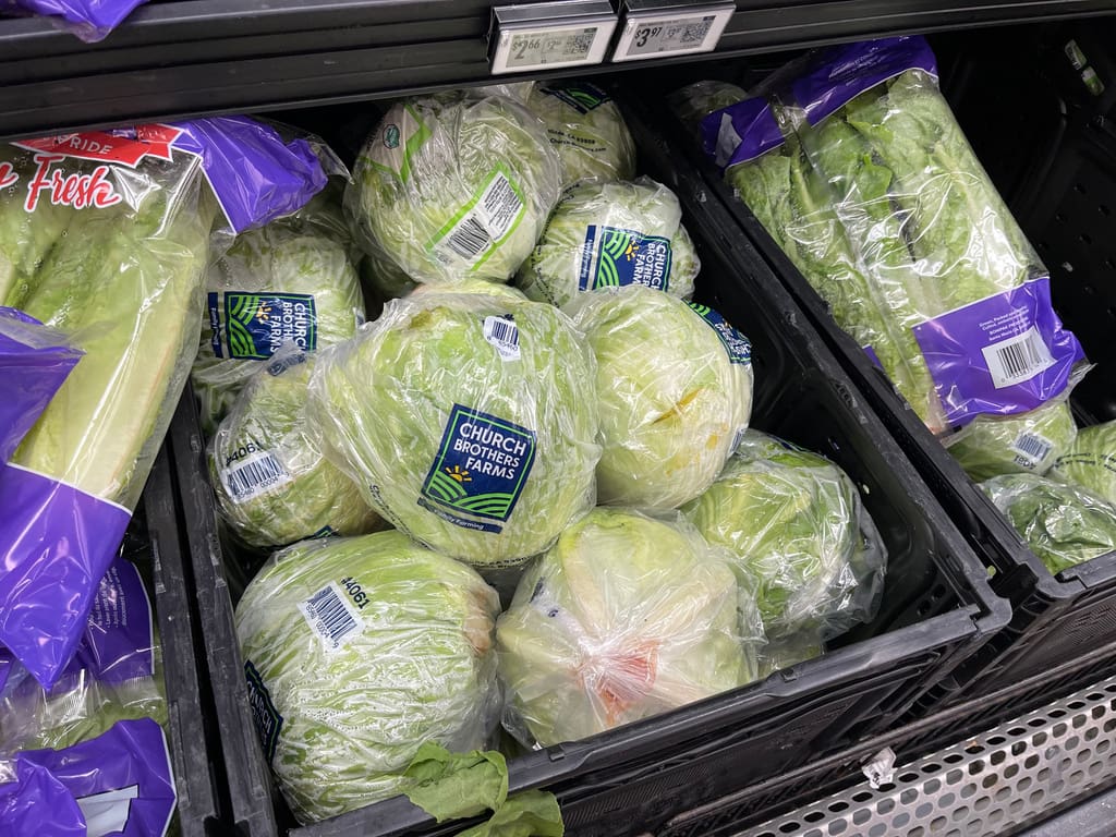 Trump’s food safety cuts are making people sick