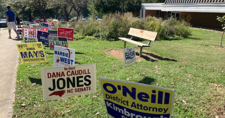 Triad early voters name top issues