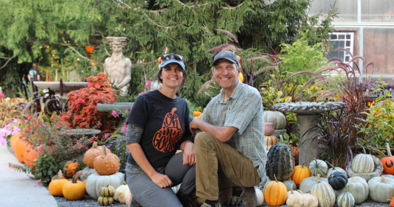 Pumpkin Walk at Creekside Gardens in Tunkhannock welcomes families for fall fun