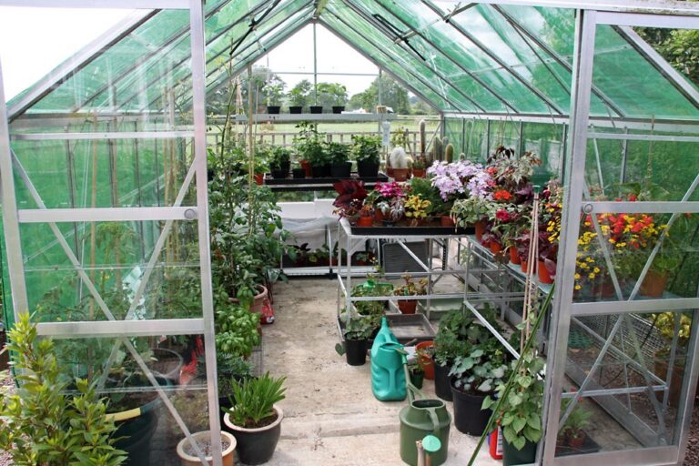 Cover of Home Greenhouse Revival by Leslie F. Halleck, showing a glass greenhouse with lush green plants inside and text about gardening year-round.