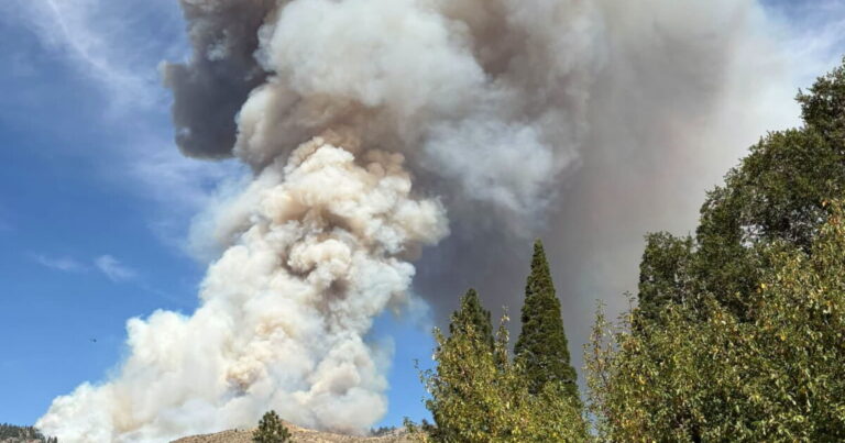 Screenshot of wildfire evacuation zones in Northwest Reno.